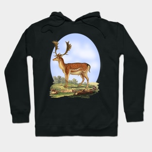 Fallow Deer Nature Illustration Hoodie